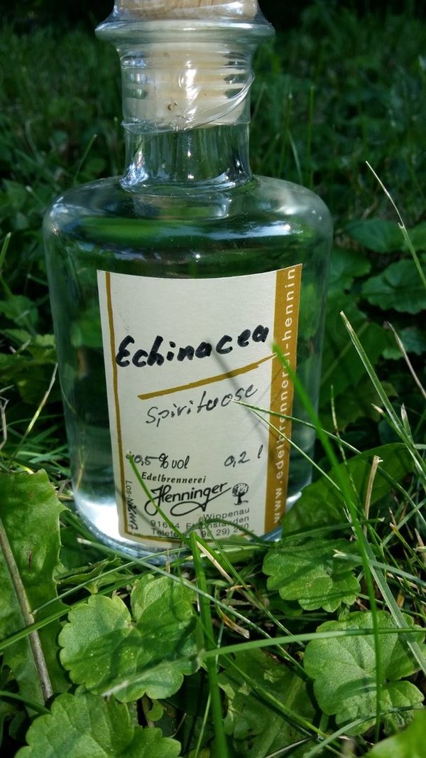 Echinacea-Heublume Spirituose 2001  40,5%